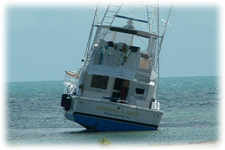 TowBoatU.S. - 46' Bertram